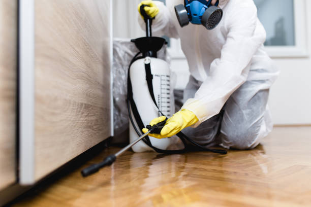 Best Residential Pest Control  in Spring Valley Lake, CA
