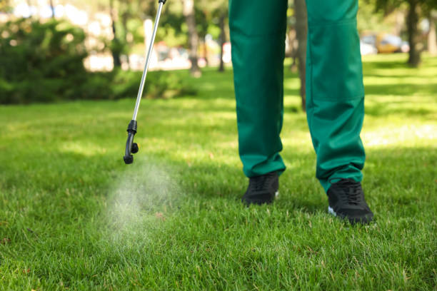 Best Best Pest Control Companies  in Spring Valley Lake, CA