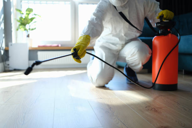 Pest Control Cost in Spring Valley Lake, CA