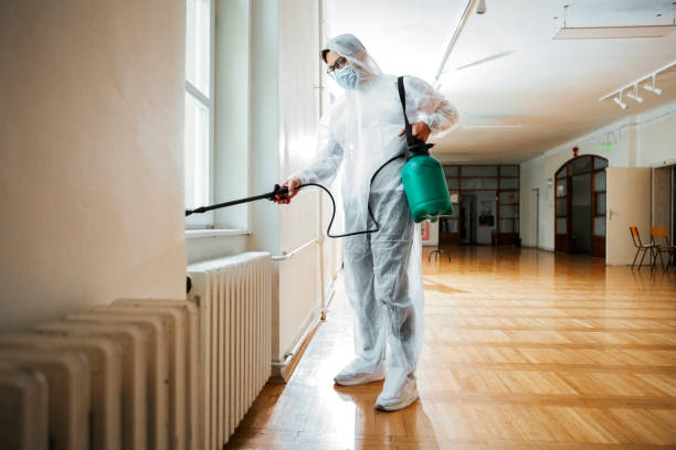 Best Pest Control Near Me  in Spring Valley Lake, CA